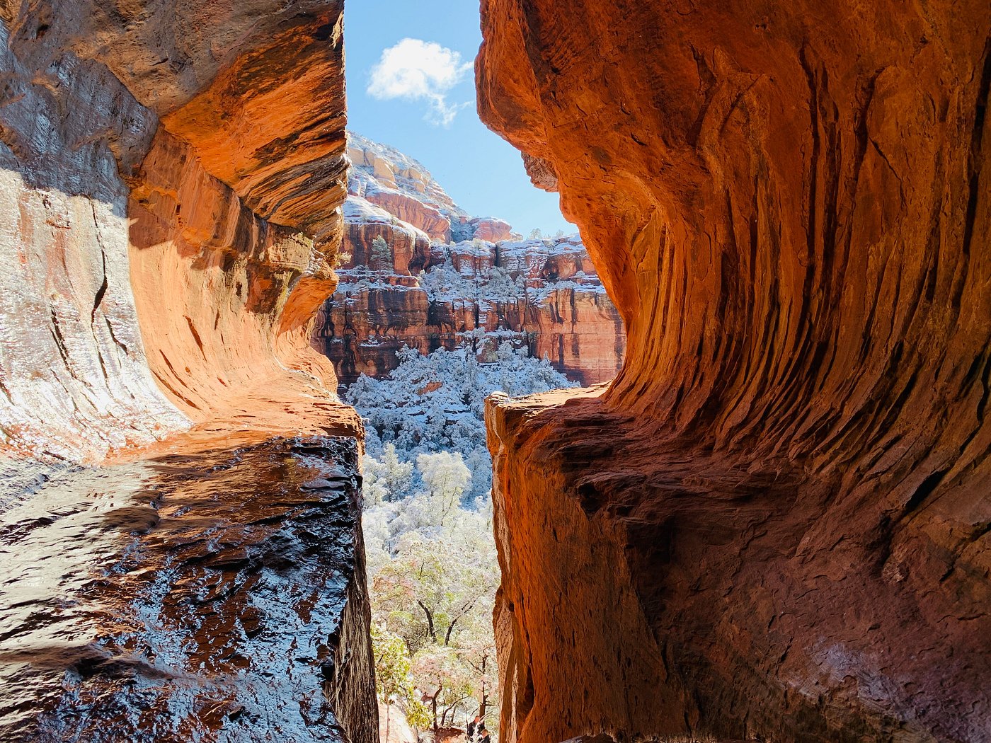 Boynton Canyon Trail (Subway Cave)
