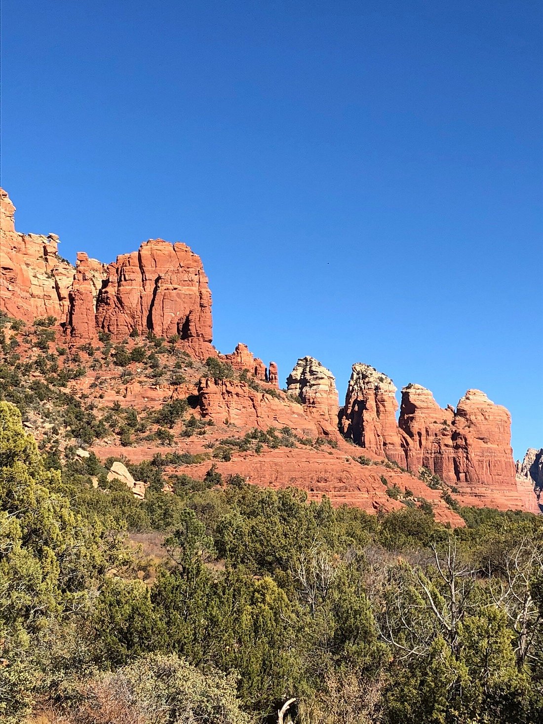 Thunder Mountain Trail